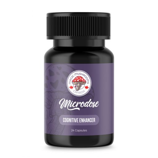 Buy Cognitive Enhancer Microdose Capsules (24) | Magic Mushrooms Canada Online