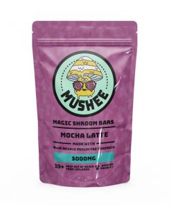 Buy Magic Mushroom Mocha Latte Drink Mix – 3000MG – Mushee Online
