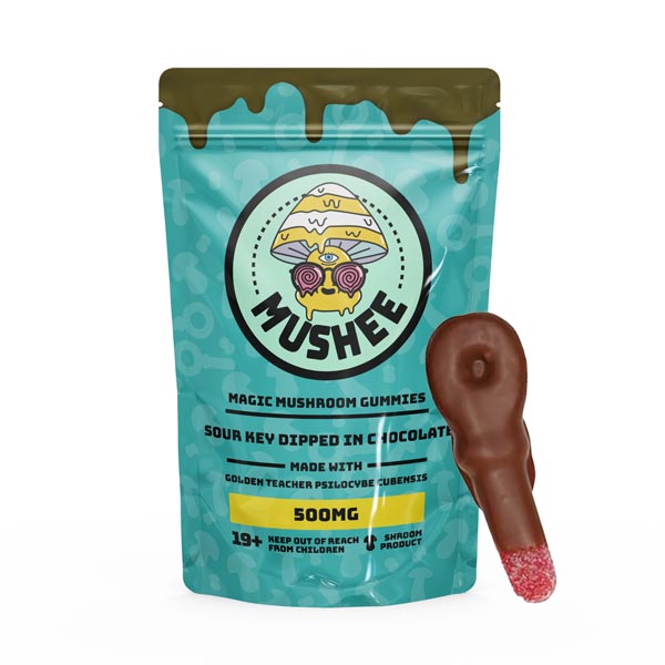 Buy Magic Mushroom Sour Key Chocolate Dipped- 500MG – Mushee Online Buy Magic Mushroom Sour Key Chocolate Dipped- 500MG – Mushee Online