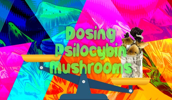 Dosing Psilocybin Mushrooms