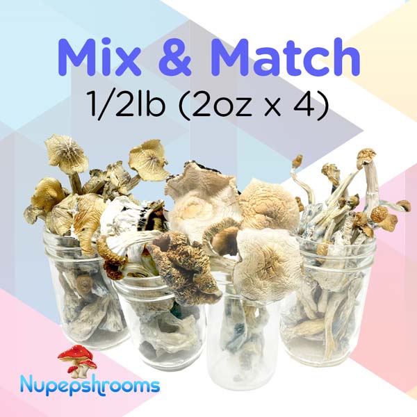 mix-and-match-1.2lb-(2oz-x-4) Mix And Match 2Oz 1 2Oz X 4 1