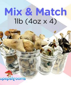 Mix And Match 1Lb 4Oz X 4