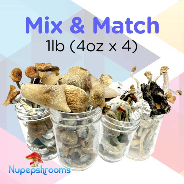 mix-and-match-1lb-(4oz-x-4) Mix And Match 1Lb 4Oz X 4