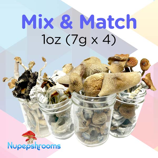 mix-and-match-1oz-(7g-x-4) Mix And Match 1Oz 7G X 4