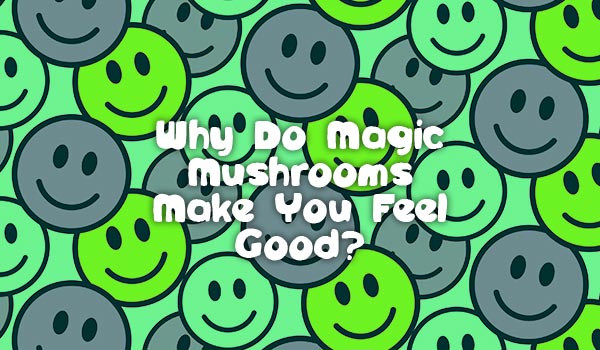 Shrooms Feel Good