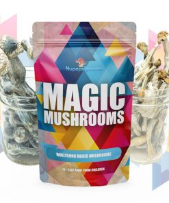 Magic Mushrooms