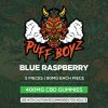 Blue Raspberry 400Mg Cbd