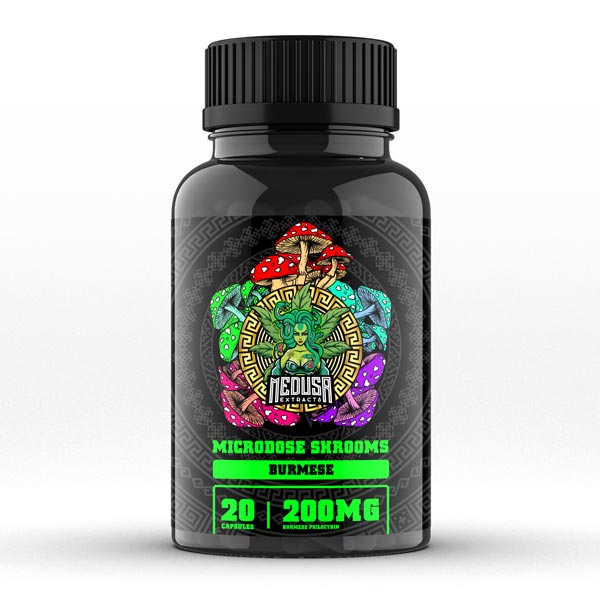 medusa-extracts-microdose-Burmese Medusa Extracts Microdose Burmese