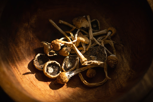 How Long Do Shrooms Stay In Your System