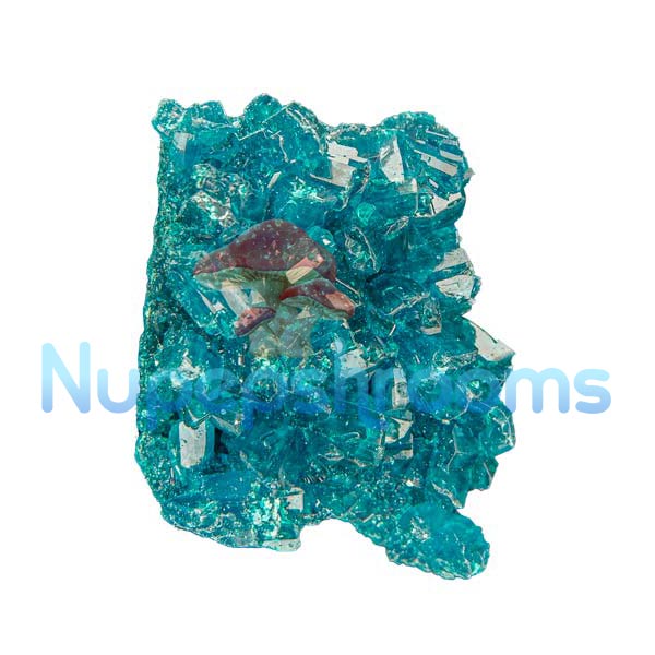 nu-blue-mdma