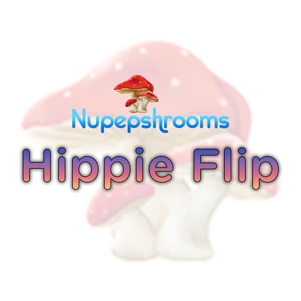 nu-hippie-flip