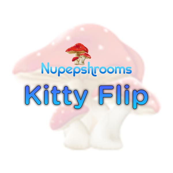nu-kitty-flip