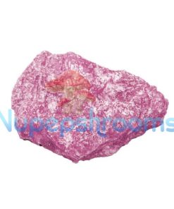 Pure Pink Molly