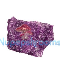 Pure Purple Molly