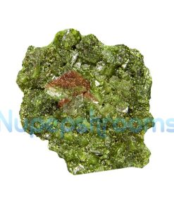 Pure Green Molly