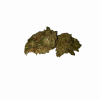 critical mass hybrid