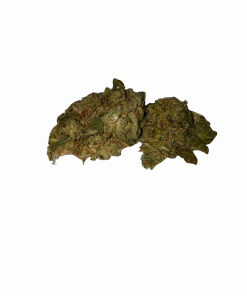 critical mass hybrid