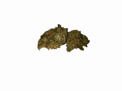 critical mass hybrid