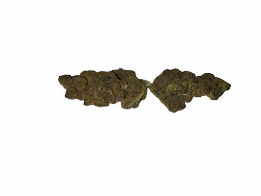 BLOW OUT SALE Wedding Pie Hybrid