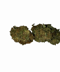 BLOW OUT SALE Afghan Indica