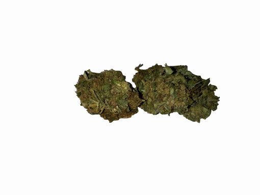 BLOW OUT SALE Afghan Indica