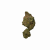 BLOW OUT SALE Shishkaberry