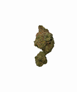 BLOW OUT SALE Shishkaberry