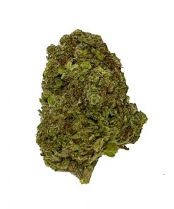 BLOW OUT SALE Sour Diesel Sativa