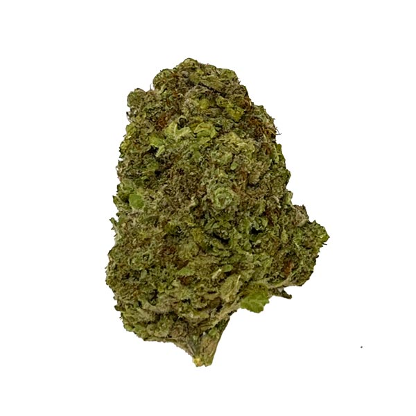 BLOW OUT SALE Sour Diesel Sativa