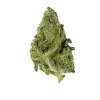 BLOW OUT SALE Banana Skunk Hybrid