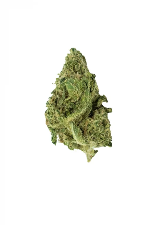 BLOW OUT SALE Banana Skunk Hybrid