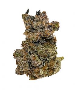 bubba god