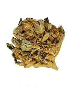 warehouse weed