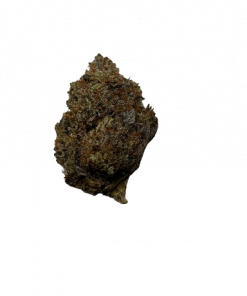 Lemon Hazen Sativa