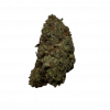 LemonKush Hybrid