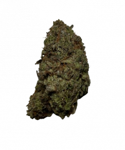 LemonKush Hybrid