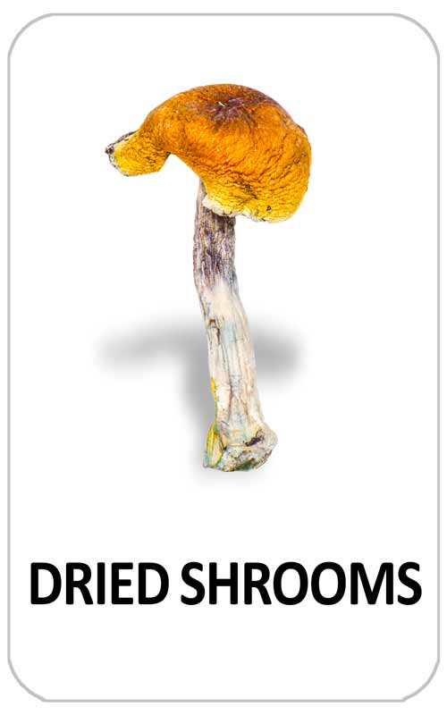 dried shrooms