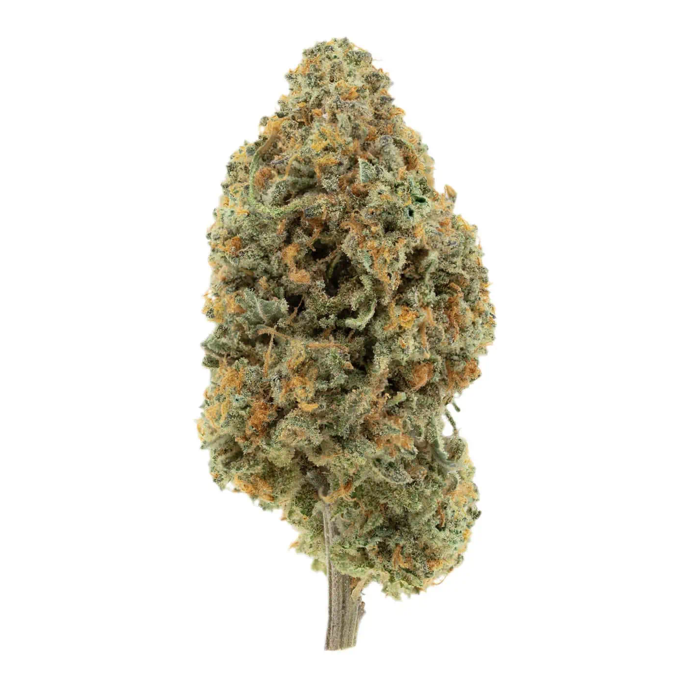 BLOW-OUT-SALE-Pineapple-Express-Hybrid- Pineapple Express Hybrid