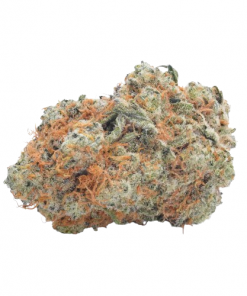 Cheap Weed Peach Fuzz Sativa