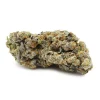 Gelato indica