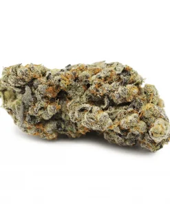 Gelato indica