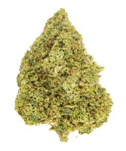 Girl Scout Cookie Hybrid