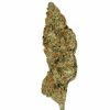 lemon haze cheap bud sativa
