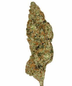 lemon haze cheap bud sativa