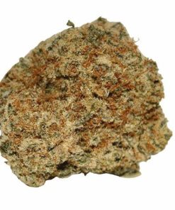 maui waui cheap bud sativa