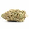 pineapple sativa