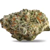 strawberry amnesia sativa