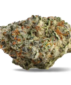 strawberry amnesia sativa