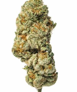 triangle kush indica