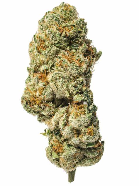 triangle kush indica